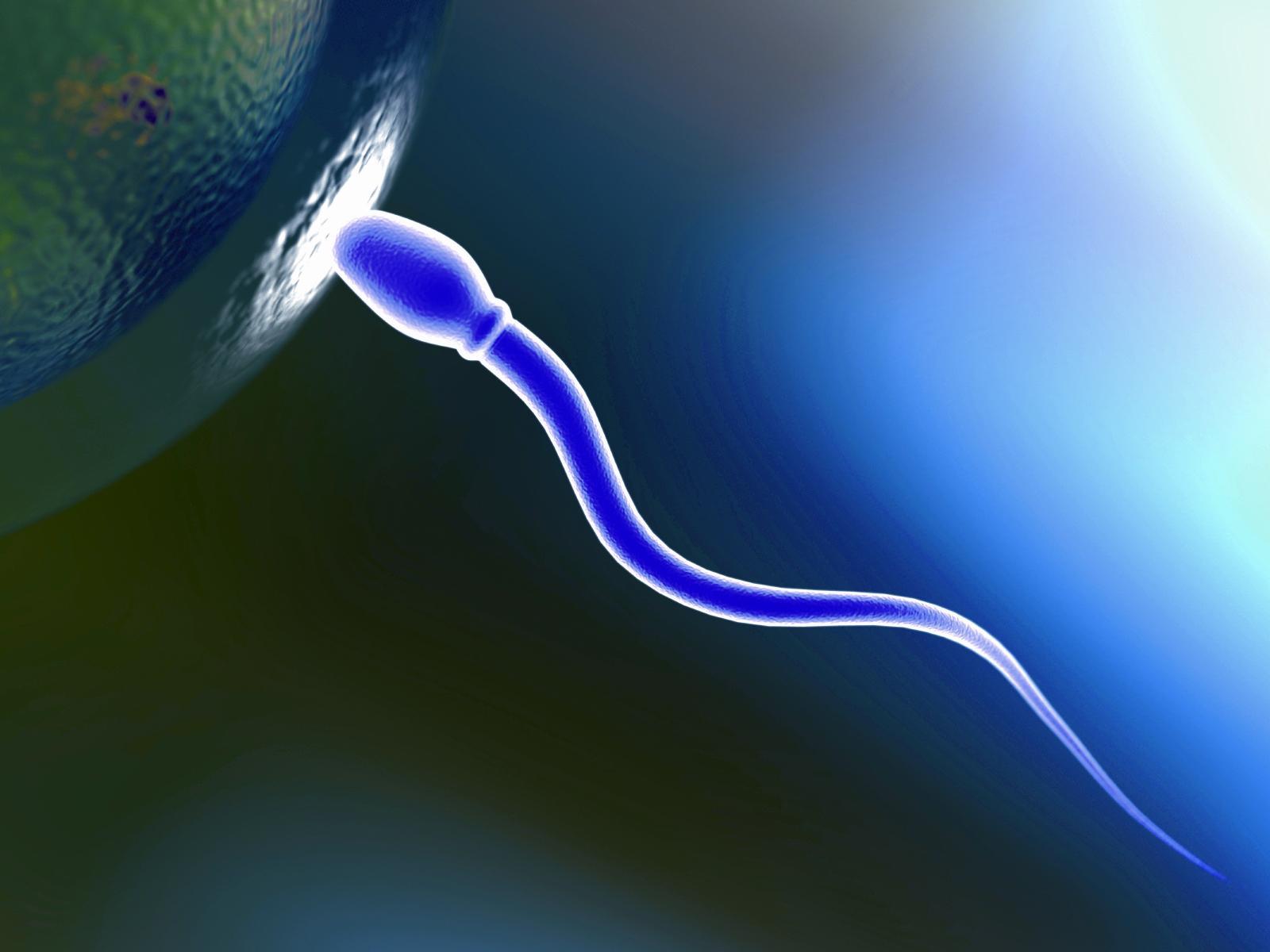 Low sperm count not just a problem for fertility